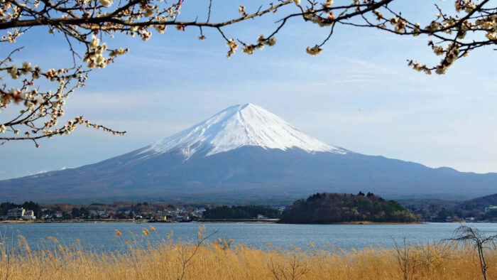Travelonecation_Mt Fuji _3